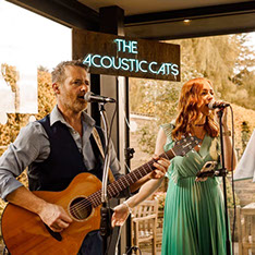 Acoustic Cats